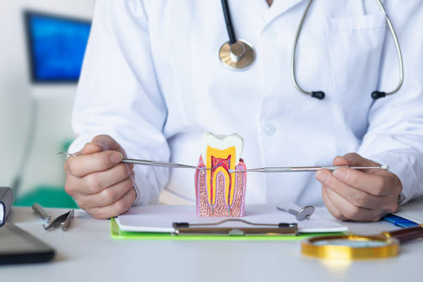 Best Walk-In Emergency Dental Services in Collegedale, TN